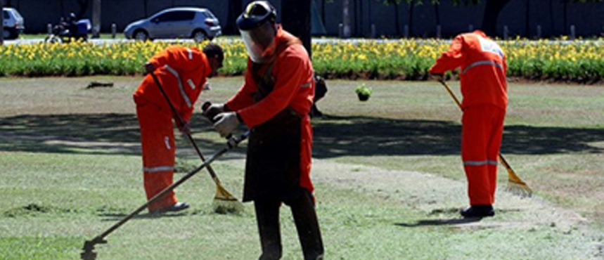 Projetos Paisagísticos e Manutenção de Áreas Verdes