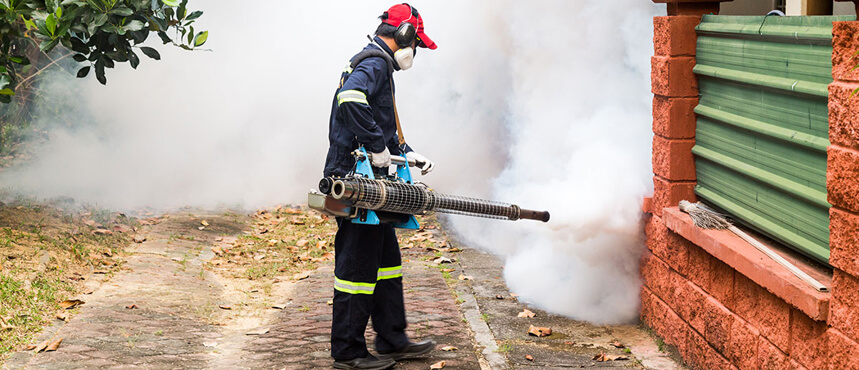 Dedetização – Desratização – Descupinização - Descorpinização
