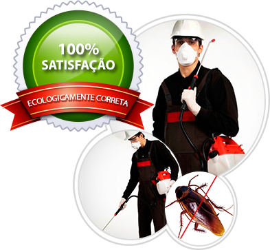 DDVALE BOLA BRANCA - Satisfação Garantida